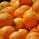 cultivos de naranjas